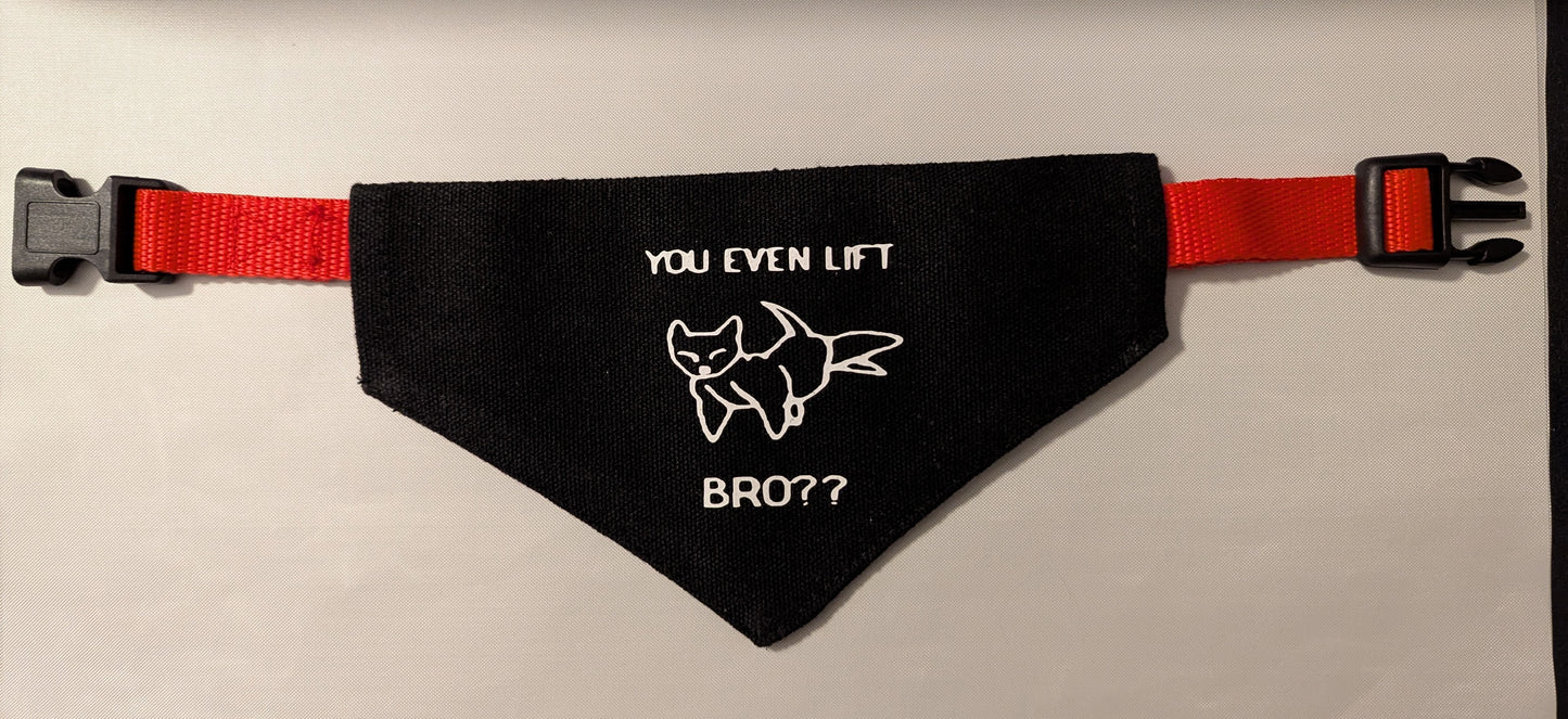 You even lift bro? Bandana
