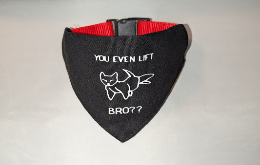 You even lift bro? Bandana